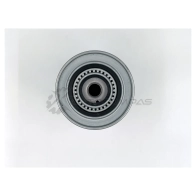Масляный фильтр BIG FILTER gb1098 ISFR LY 1441295834 - Изображение 4