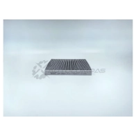 Салонный фильтр BIG FILTER gb98013c A1S0J K0 1441296341