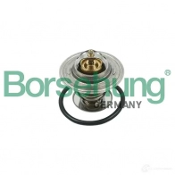 Термостат BORSEHUNG 3984055 1B 3NJ B13141 4251475103130 - Изображение 2
