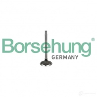 Впускной клапан BORSEHUNG B19029 Volkswagen Golf 4 (1J5) Универсал 1.9 TDI 130 л.с. 2000 – 2006 4251475114990 7S KD9B3