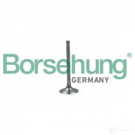 Впускной клапан BORSEHUNG V5B9 5P B19024 4251475114945 Audi A6 (C7) 4 Седан 2.0 Tfsi 180 л.с. 2011 – 2018