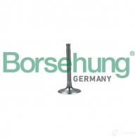 Впускной клапан BORSEHUNG Audi Q7 (4M) 2 2015 – 2020 4251475114983 3 SVY35 B19028