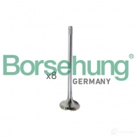 Впускной клапан BORSEHUNG B10322 Volkswagen Golf 7 (5G1, BQ1, BE2) Хэтчбек 1.6 110 л.с. 2014 – наст. время NKD6Q 1