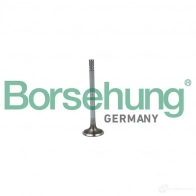 Впускной клапан BORSEHUNG B19020 815C 8D Volkswagen Golf 7 (5G1, BQ1, BE2) Хэтчбек 1.6 TDI 4motion 105 л.с. 2012 – наст. время 4251475114907