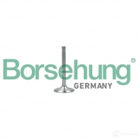 Выпускной клапан BORSEHUNG B19001 Volkswagen Golf 6 (5K1) Хэтчбек 1.6 BiFuel 102 л.с. 2009 – 2012 4251475114716 PZMSK6 9