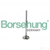 Выпускной клапан BORSEHUNG 1439044297 CX9S0 S B10321