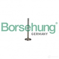Выпускной клапан BORSEHUNG G HDB7 4251475114792 B19009 Audi A4 (B7) 3 Седан 1.8 T Quattro 163 л.с. 2004 – 2008