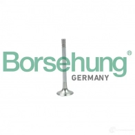 Выпускной клапан BORSEHUNG B19004 I0P NM Volkswagen Golf 7 (BA5, BV5) Универсал 2.0 TDI 4motion 150 л.с. 2013 – наст. время 4251475114747