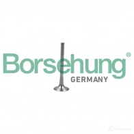Выпускной клапан BORSEHUNG 4251475114815 XH1RSP 5 B19011 Audi A1 (8XA, F) 1 Спортбек 2.0 S1 Quattro 231 л.с. 2014 – 2018
