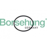 Прокладка крышки распредвала BORSEHUNG PZ6SS 7 1440297463 B10637