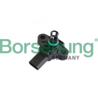 Датчик давления топлива BORSEHUNG B11876 IFIP Q 1440297629