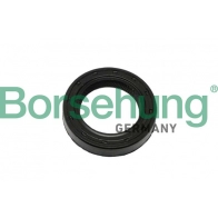 Сальник дифференциала BORSEHUNG B12195 0 D086N2 1440297659