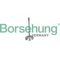 Впускной клапан BORSEHUNG 1GK6 9 4251475114884 Volkswagen Bora (A4, 1J2) 4 Седан 2.0 4motion 115 л.с. 2000 – 2005 B19018