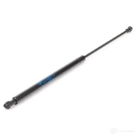 Амортизатор багажника BMW 51238238570 C 3ITGIS 29843997 - Изображение 1
