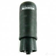 Пневмоэлемент подвески задний L BMW BVANL P2 37 12 1 095 579 34551643 - Изображение 1