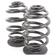 Пружина подвески задняя BMW 0 LMOS 21410530 33 53 9 065 357 - Изображение 2