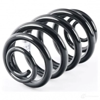 Пружина подвески задняя (усиленные) BMW J HO9EF 33 53 3 413 081 21427872 - Изображение 2