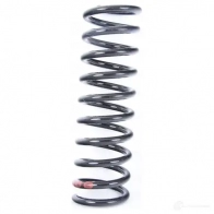 Пружина BMW 3353 1138 720 G4Q XKEQ 22572262 - Изображение 1