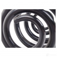 Пружина подвески задняя BMW 25373098 9C5 RT4H 33 53 1 095 713 - Изображение 2