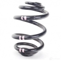 Пружина подвески задняя BMW 25373098 9C5 RT4H 33 53 1 095 713 - Изображение 3