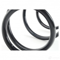 Пружины подвески передние BMW L P67VXN 31 33 6 851 921 21435224 - Изображение 2