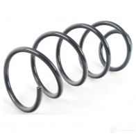 Пружина BMW 31336769916 U14 QM53 21434916 - Изображение 1