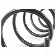 Пружина BMW 31336769916 U14 QM53 21434916 - Изображение 3