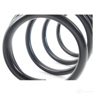 Пружины подвески передние BMW 5DXC F 21434924 31 33 6 767 376 - Изображение 2
