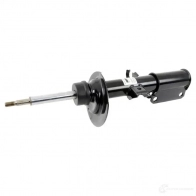 Амортизатор BMW 31 31 6 764 600 22564572 H6YX D - Изображение 1