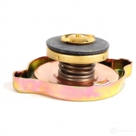 Крышка радиатора BMW RV 00V 17 11 1 100 848 21912572 - Изображение 2