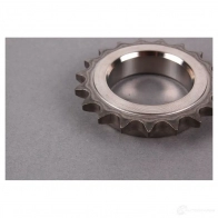 Комплект цепи ГРМ BMW 11 31 7 502 180 23122066 N DVLZ - Изображение 3