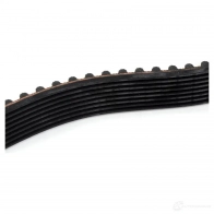 Комплект ремня ГРМ BMW 24163864 11 31 1 279 126 M82L 8U - Изображение 2