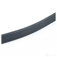 RIBBED V-BELT BMW 1439658022 8 AUCG 11288650740 - Изображение 3