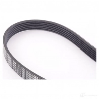 Приводной ремень, поликлиновой BMW U4I HZ3V 24390166 11 28 8 613 707 - Изображение 2