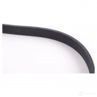 Приводной ремень, поликлиновой BMW 24017898 TBP LA4E 11 28 7 843 246 - Изображение 3