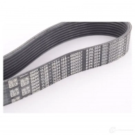 Комплект приводного ремня BMW 23996044 BL2 MF1 11 28 7 634 195 - Изображение 4