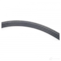 Приводной ремень, поликлиновой BMW 24009192 85H 82 11287631822 - Изображение 3