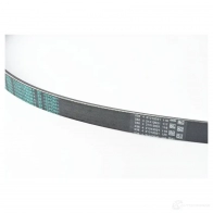 Приводной ремень, поликлиновой BMW 11287631819 24139422 V44DDG W22 OW - Изображение 1