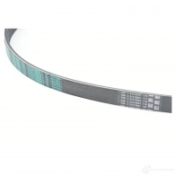 Приводной ремень, поликлиновой BMW 11287631819 24139422 V44DDG W22 OW - Изображение 2