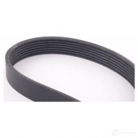 Приводной ремень, поликлиновой BMW VNSF S8 24399790 11287628654 - Изображение 4