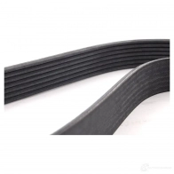 Приводной ремень, поликлиновой BMW 23997096 11 28 7 628 652 84 ZME - Изображение 3