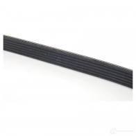 Приводной ремень, поликлиновой BMW 11 28 7 628 651 ZEI WM3 24140940 - Изображение 2