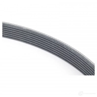 Приводной ремень, поликлиновой BMW 23994318 11 28 7 512 972 FVXZY LC - Изображение 2