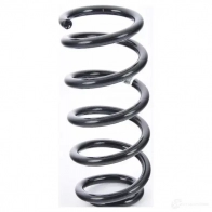 Пружина подвески задняя BMW VIHQW UO 33 53 9 806 823 21436618 - Изображение 1