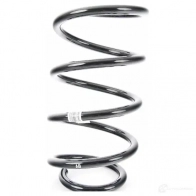 Пружины подвески передние BMW 31 33 9 806 812 D AIHC 21430854 - Изображение 1