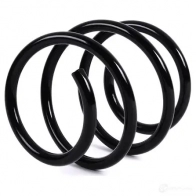 Пружины подвески передние BMW 31 33 6 759 389 CLWTQY W 22579106 - Изображение 2