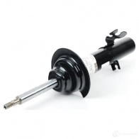 Амортизатор BMW 31316780521 NAT3 XRX 22564530 - Изображение 3