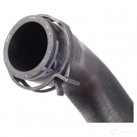 Патрубок радиатора, шланг BMW 17122754247 38999921 2NRT V4 - Изображение 4