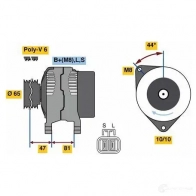 Генератор BOSCH U7MQA1L 0986081250 333356 8 125