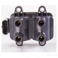 Катушка зажигания BOSCH 333691 D3ML3 ZS-K 2X2 0986221060 - Изображение 6